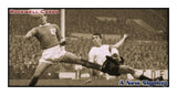 411A | Spurs 1960-1963 - The Glory Years